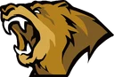 Lynn Vision Gaming
