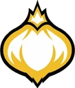 Onion Team