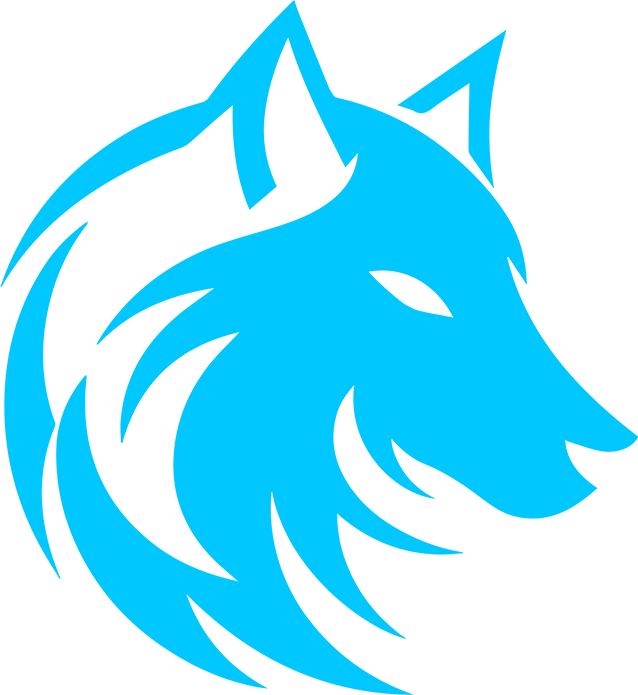 Zeu5 Esports